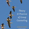 Theory and Practice of Group Counseling 8th (egith) edition - eBook